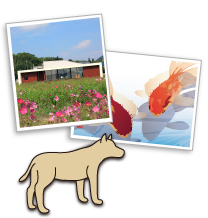 アートと暮らす